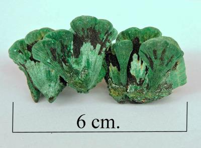 Malachite, Katanga prov. Congo. Bill Bagley Rocks and Minerals